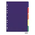 Picture of A4 Index 10 Tab Rainbow