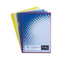Picture of A4 Document Folder