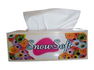 Picture of Tissues 2 Ply